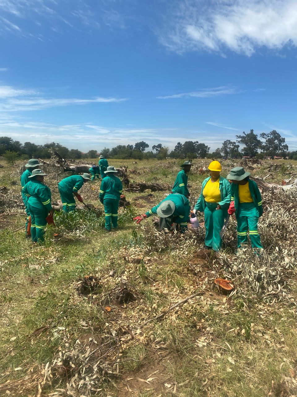 Cleaning & Greening in Sedibeng